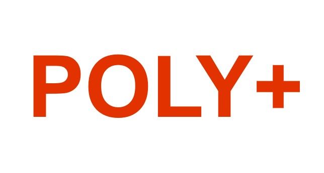 Poly Plus für Small Room Kit mit Studio R30 Service 1 Jahr